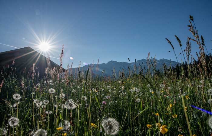 Auszeit in den Bergen<br />
Auszeit Schweiz<br />
Begleitete Auszeit