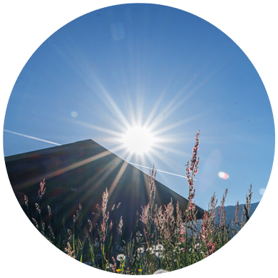 Selbstcoaching mit Logosynthese®